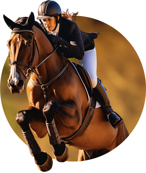 horse-icon